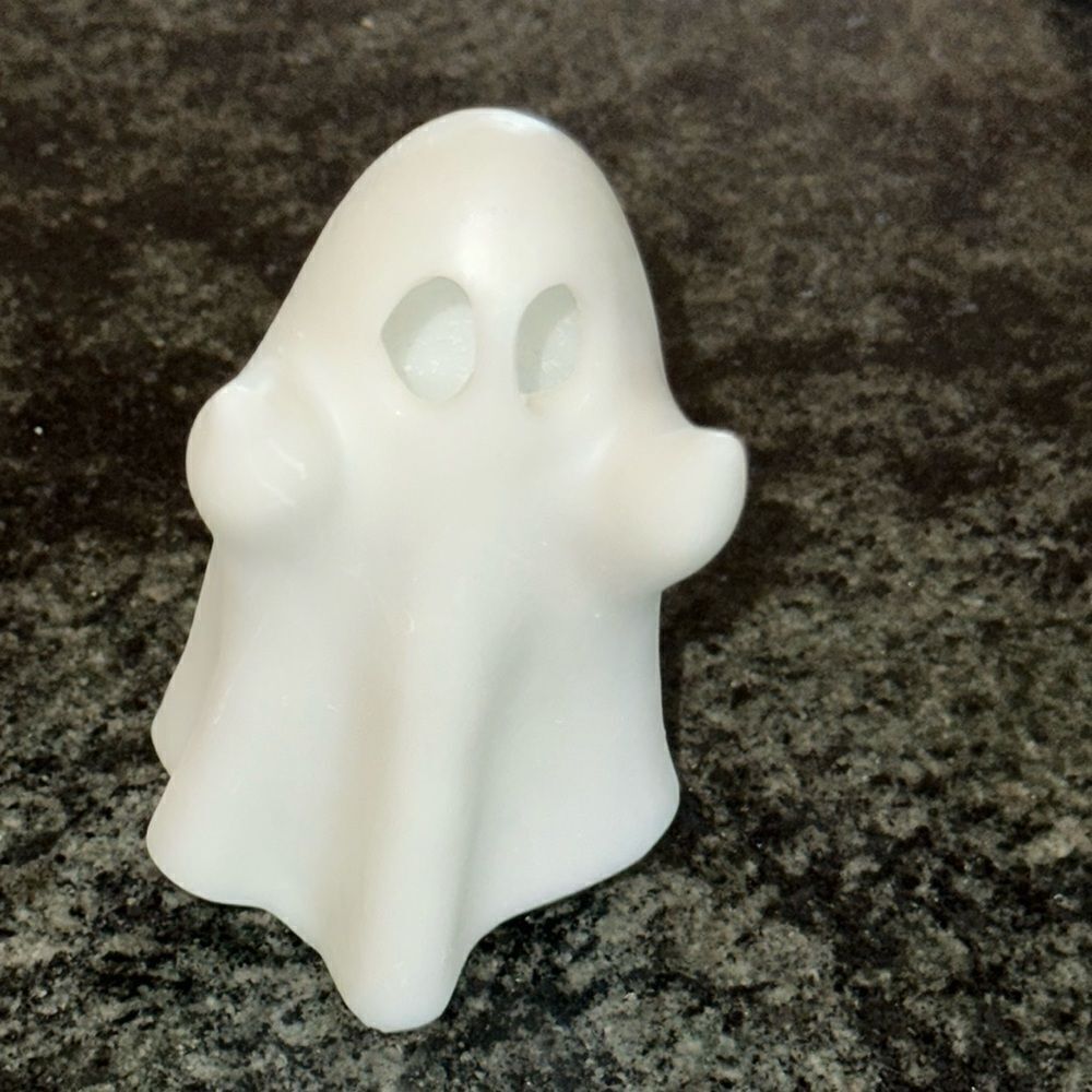 SPOOKY GLOW RUDE GHOST RESUM FIGERE